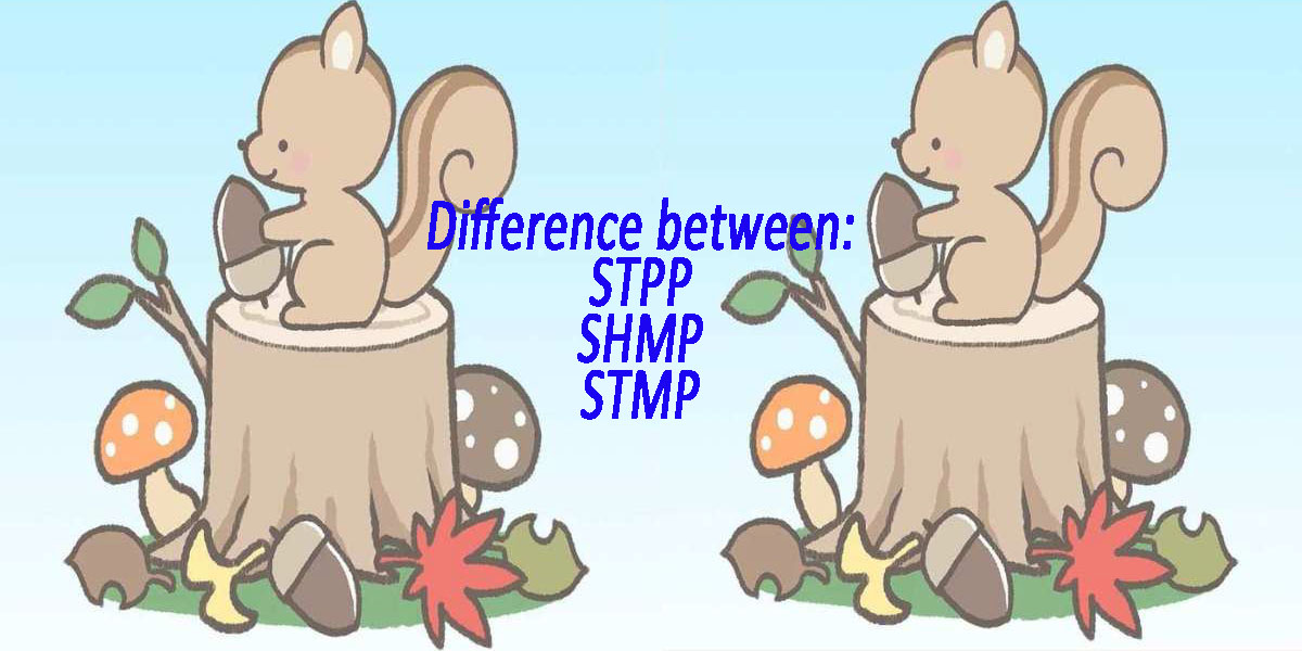 Sodium Trimetaphosphate (STMP): Applications and Key Differences from SHMP & STPP