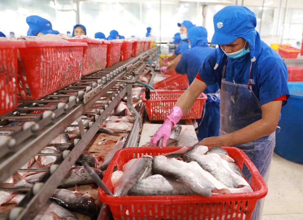 Application of Phosphates in Seafood Processing